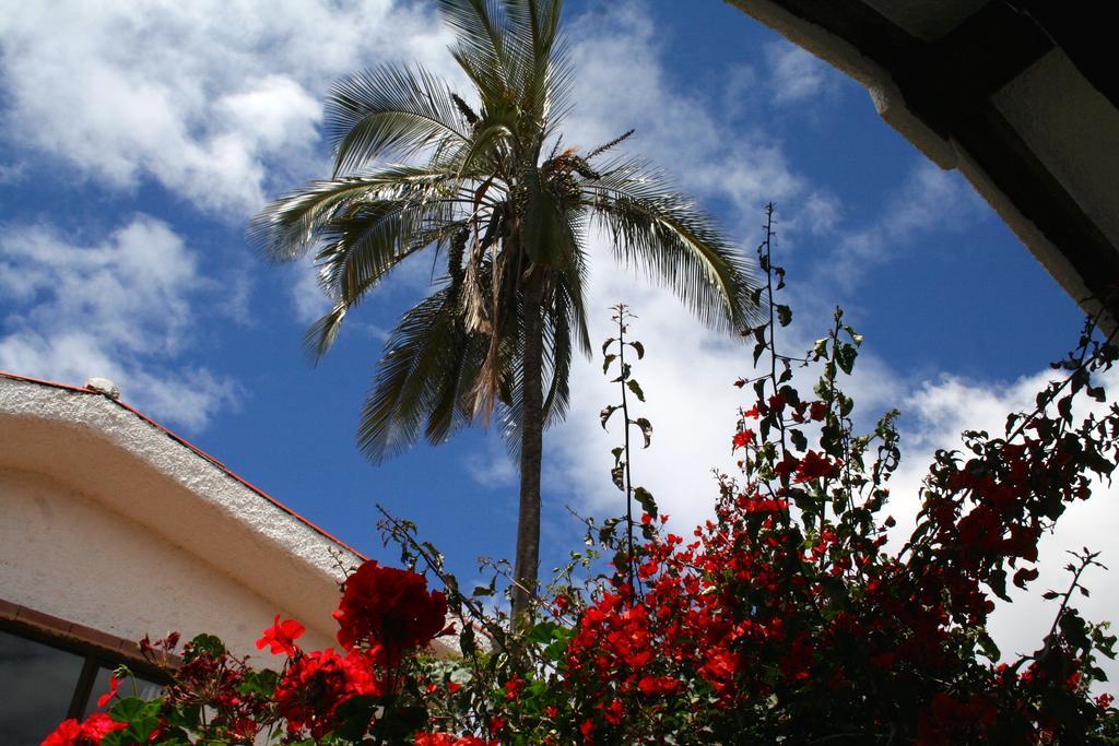 Casa Macondo Bed & Breakfast Cuenca Szoba fotó