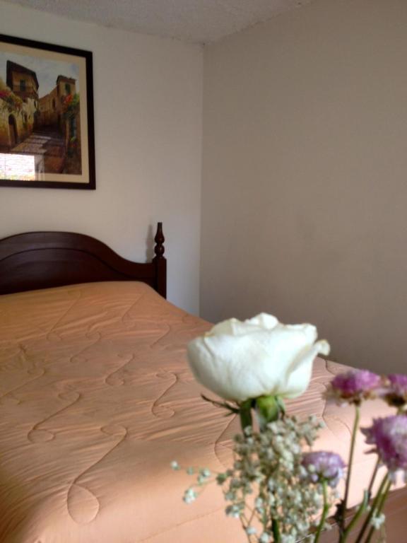 Casa Macondo Bed & Breakfast Cuenca Szoba fotó